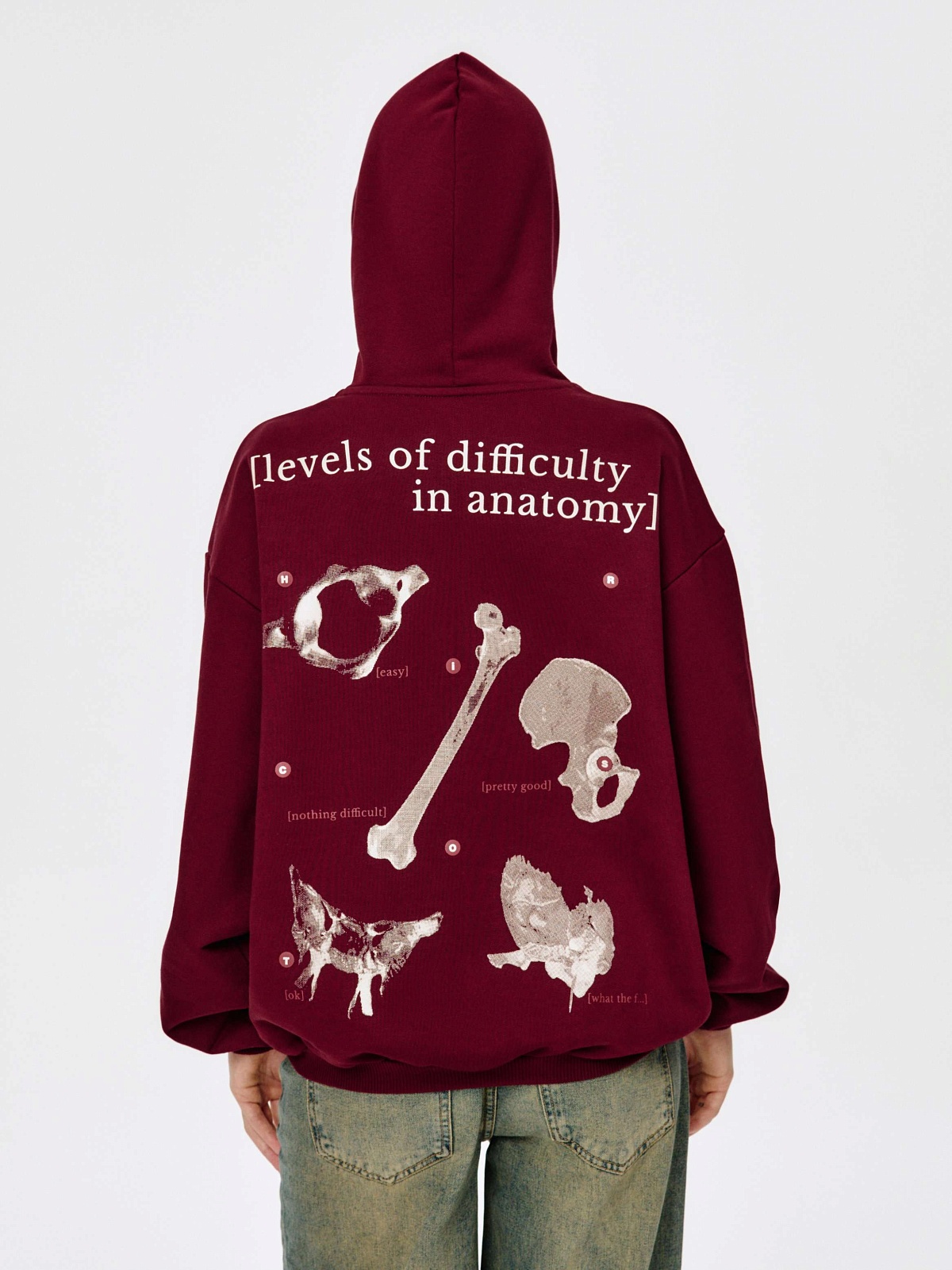 Худи Анатомия (L-XL, Бордовый)